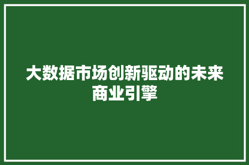 大数据市场创新驱动的未来商业引擎  第1张