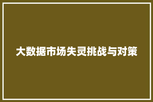 大数据市场失灵挑战与对策