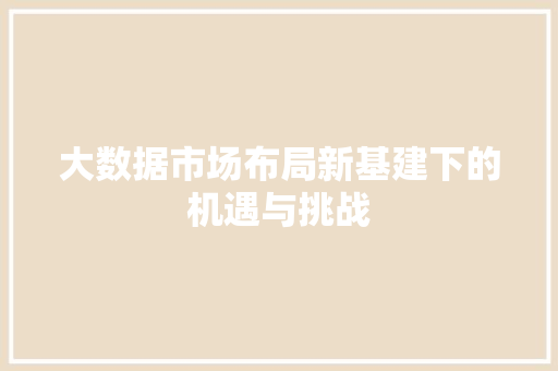 大数据市场布局新基建下的机遇与挑战