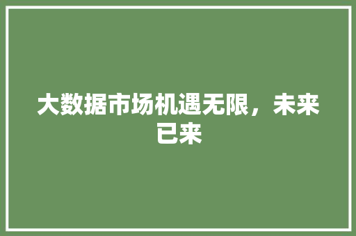 大数据市场机遇无限，未来已来  第1张
