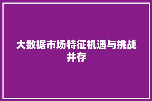 大数据市场特征机遇与挑战并存  第1张
