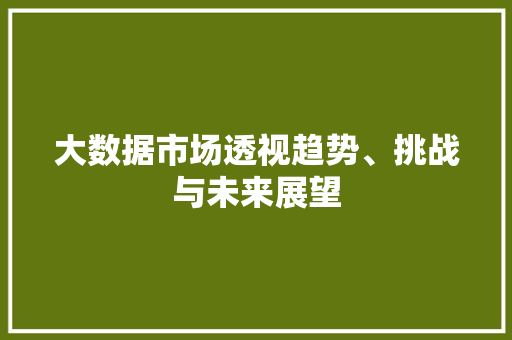 大数据市场透视趋势、挑战与未来展望  第1张