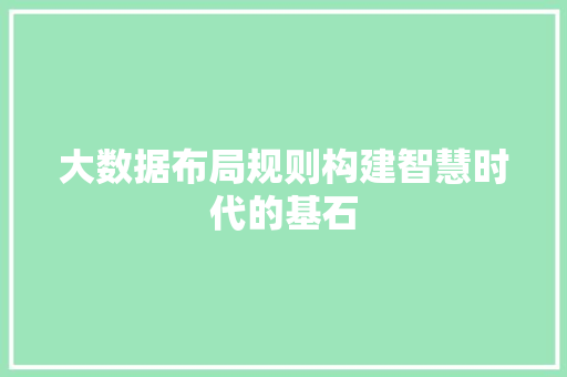 大数据布局规则构建智慧时代的基石