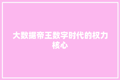 大数据帝王数字时代的权力核心  第1张