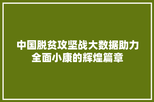 中国脱贫攻坚战大数据助力全面小康的辉煌篇章