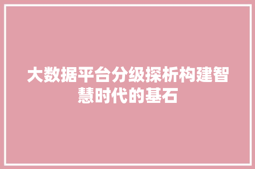 大数据平台分级探析构建智慧时代的基石  第1张