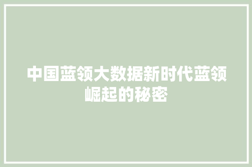 中国蓝领大数据新时代蓝领崛起的秘密