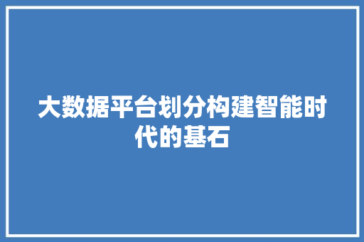 大数据平台划分构建智能时代的基石  第1张