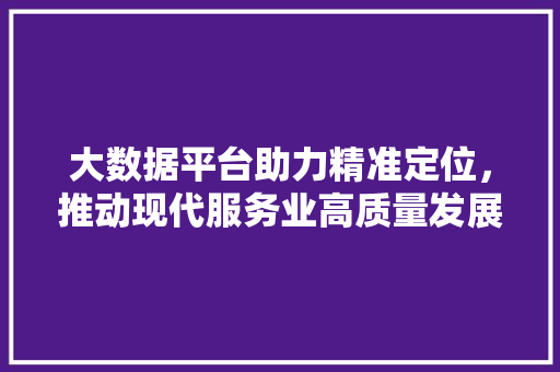 大数据平台助力精准定位，推动现代服务业高质量发展