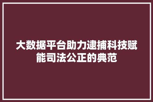 大数据平台助力逮捕科技赋能司法公正的典范