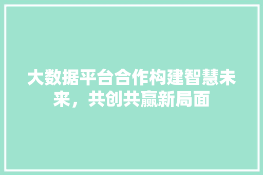大数据平台合作构建智慧未来，共创共赢新局面  第1张