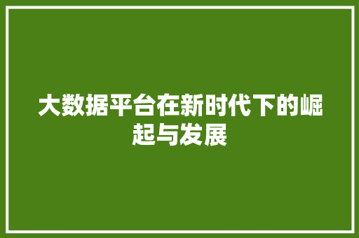 大数据平台在新时代下的崛起与发展