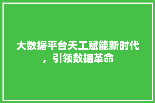 大数据平台天工赋能新时代，引领数据革命