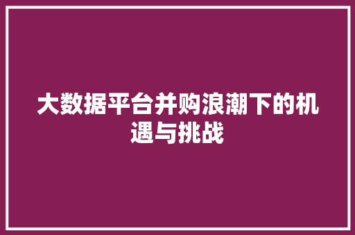 大数据平台并购浪潮下的机遇与挑战