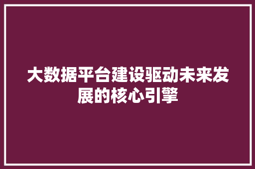 大数据平台建设驱动未来发展的核心引擎