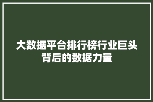 大数据平台排行榜行业巨头背后的数据力量