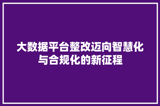 大数据平台整改迈向智慧化与合规化的新征程