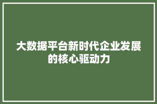 大数据平台新时代企业发展的核心驱动力
