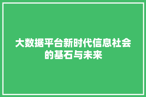 大数据平台新时代信息社会的基石与未来