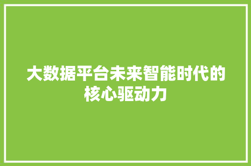 大数据平台未来智能时代的核心驱动力