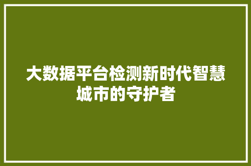 大数据平台检测新时代智慧城市的守护者