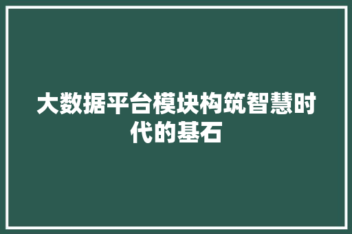 大数据平台模块构筑智慧时代的基石