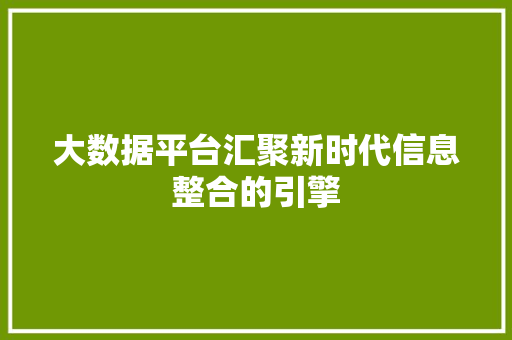 大数据平台汇聚新时代信息整合的引擎