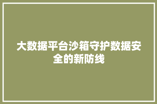 大数据平台沙箱守护数据安全的新防线