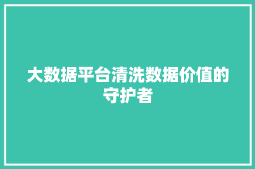 大数据平台清洗数据价值的守护者  第1张