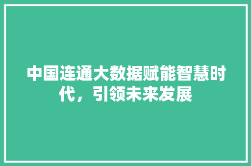 中国连通大数据赋能智慧时代，引领未来发展
