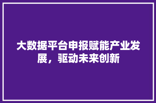 大数据平台申报赋能产业发展，驱动未来创新  第1张