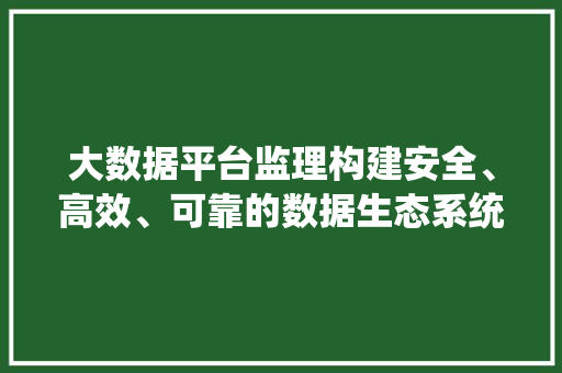大数据平台监理构建安全、高效、可靠的数据生态系统