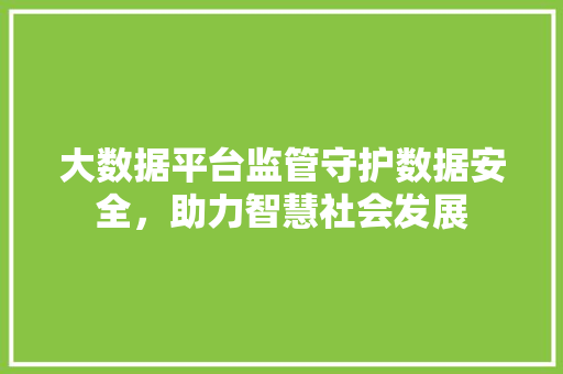 大数据平台监管守护数据安全，助力智慧社会发展