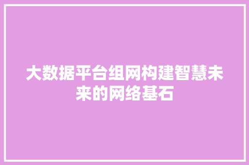 大数据平台组网构建智慧未来的网络基石