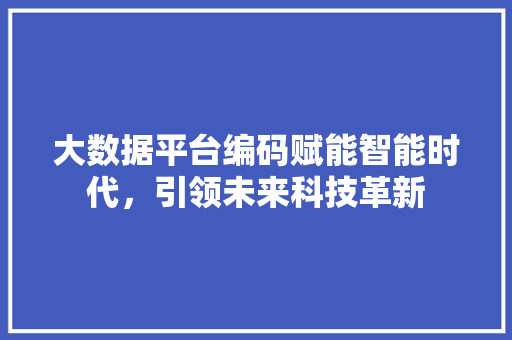 大数据平台编码赋能智能时代，引领未来科技革新