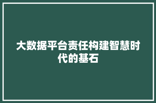 大数据平台责任构建智慧时代的基石