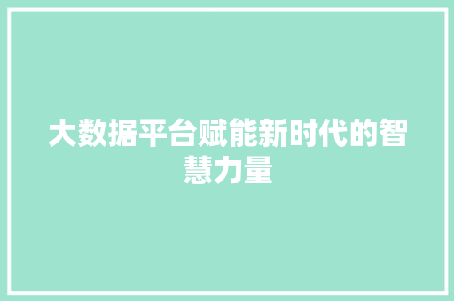 大数据平台赋能新时代的智慧力量