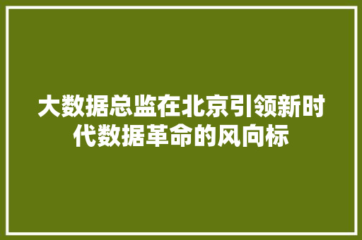 大数据总监在北京引领新时代数据革命的风向标