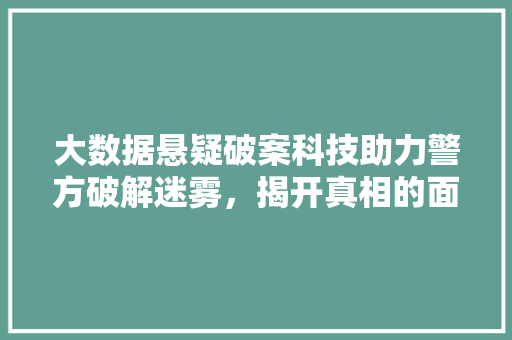 大数据悬疑破案科技助力警方破解迷雾，揭开真相的面纱  第1张