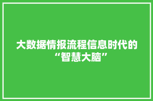大数据情报流程信息时代的“智慧大脑”  第1张