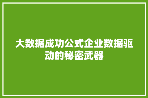 大数据成功公式企业数据驱动的秘密武器
