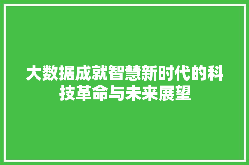 大数据成就智慧新时代的科技革命与未来展望  第1张