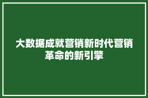 大数据成就营销新时代营销革命的新引擎  第1张