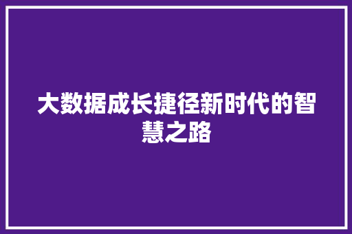 大数据成长捷径新时代的智慧之路  第1张