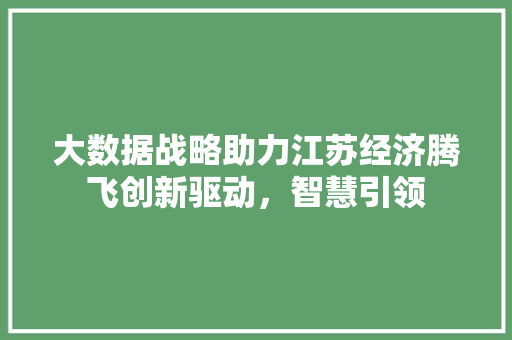 大数据战略助力江苏经济腾飞创新驱动，智慧引领  第1张