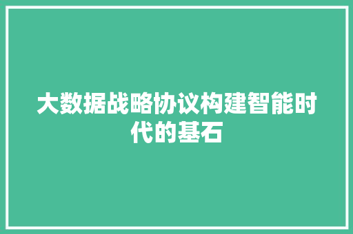 大数据战略协议构建智能时代的基石  第1张