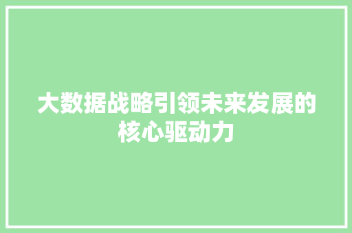 大数据战略引领未来发展的核心驱动力  第1张