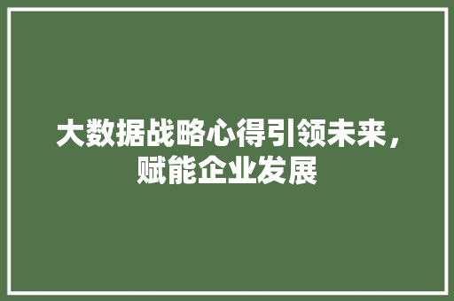 大数据战略心得引领未来，赋能企业发展  第1张