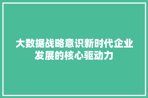 大数据战略意识新时代企业发展的核心驱动力  第1张