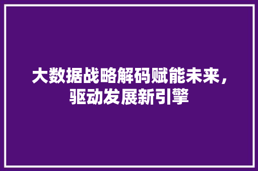 大数据战略解码赋能未来，驱动发展新引擎  第1张